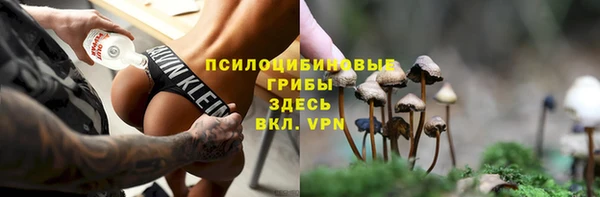 МДПВ Алексин