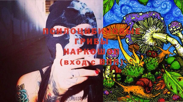 ГАЛЛЮЦИНОГЕННЫЕ ГРИБЫ Алзамай