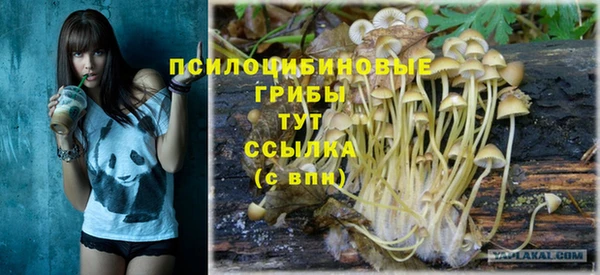 Альфа ПВП Алексеевка