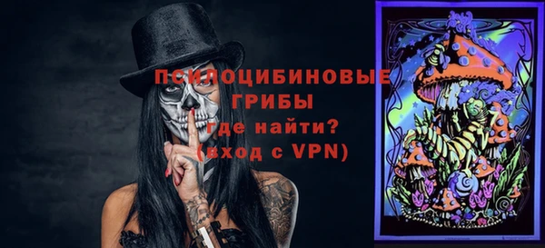 МДПВ Алексин