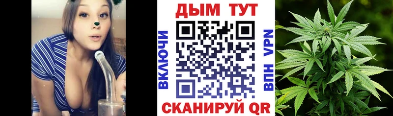 Бошки марихуана план  Покачи 